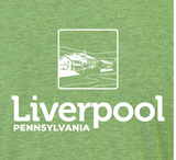 ADULT Bella Canvas Hometown Heather Green T Shirt