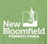 ADULT Bella Canvas Hometown Heather Green T Shirt